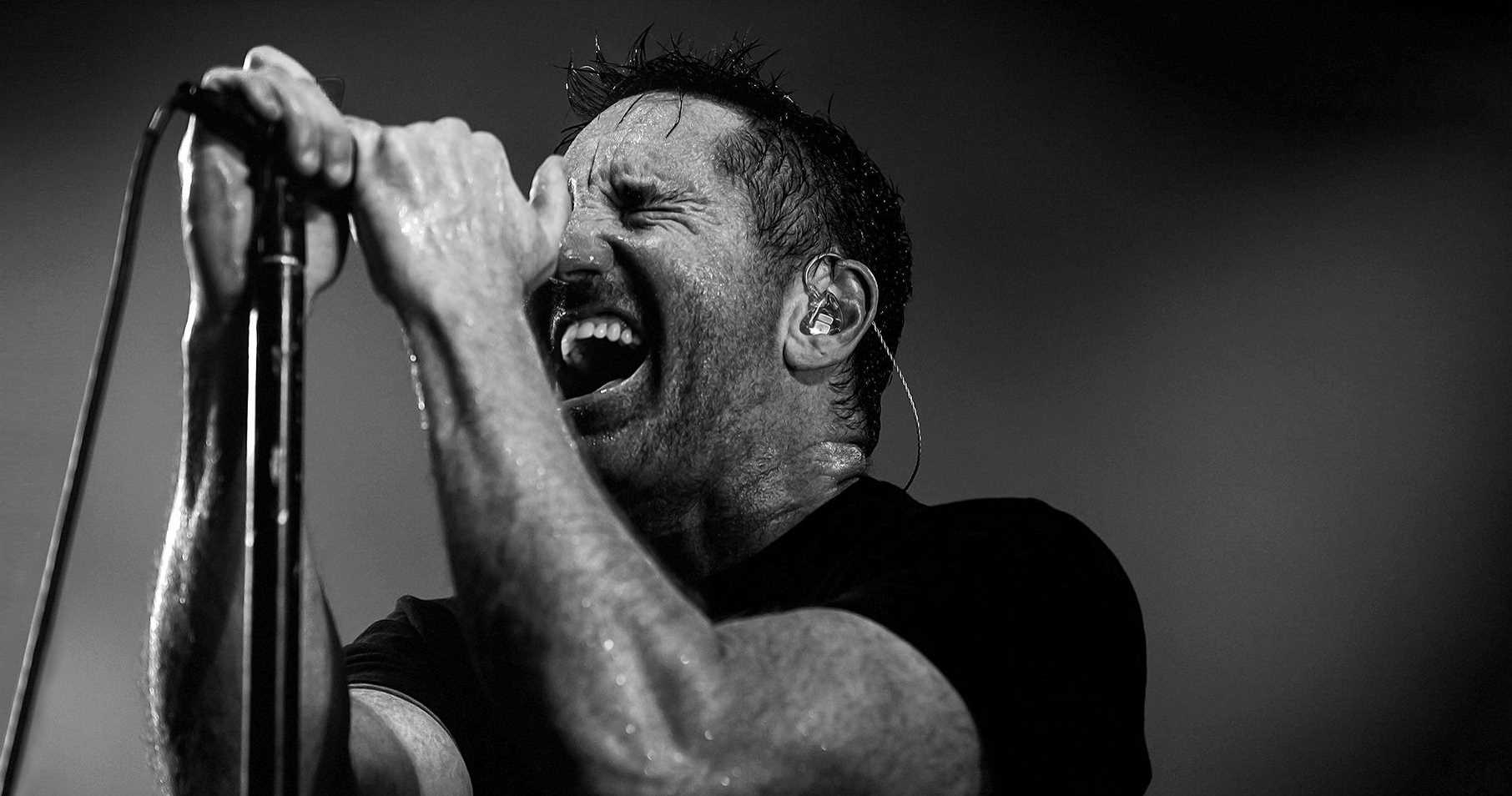 Trent Reznor portrait